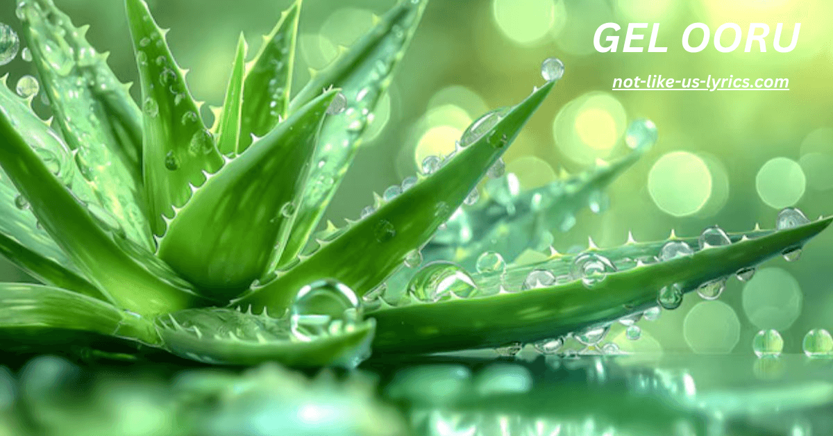 The Legacy of Gel Ooru: A Deep Dive into Tradition and Identity 2025